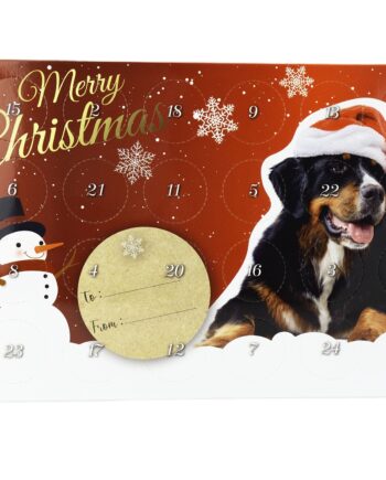 Julekalender m. mini treats til hund.