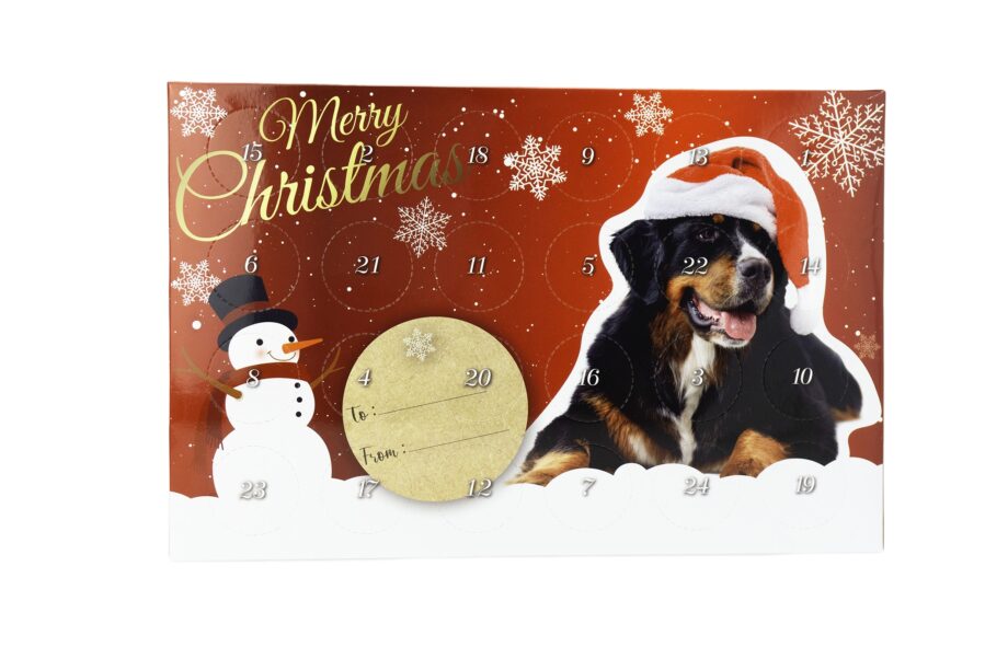 Julekalender m. mini treats til hund.