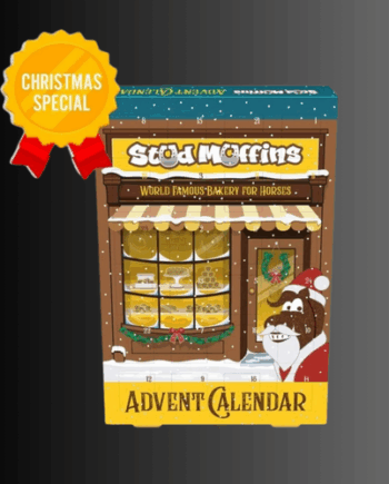 Stud Muffins julekalender til hest