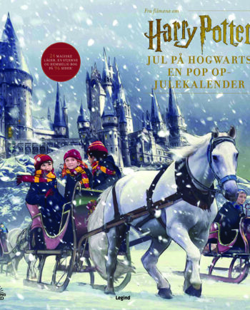 Harry Potter Julekalender